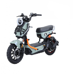 TAILG X51 LEAD ACID 25km/h